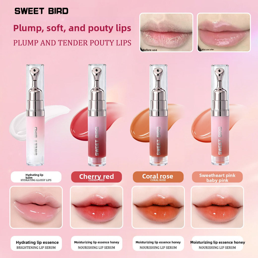 Hydrating Lip Gloss with Mirror Shine and plump lips
